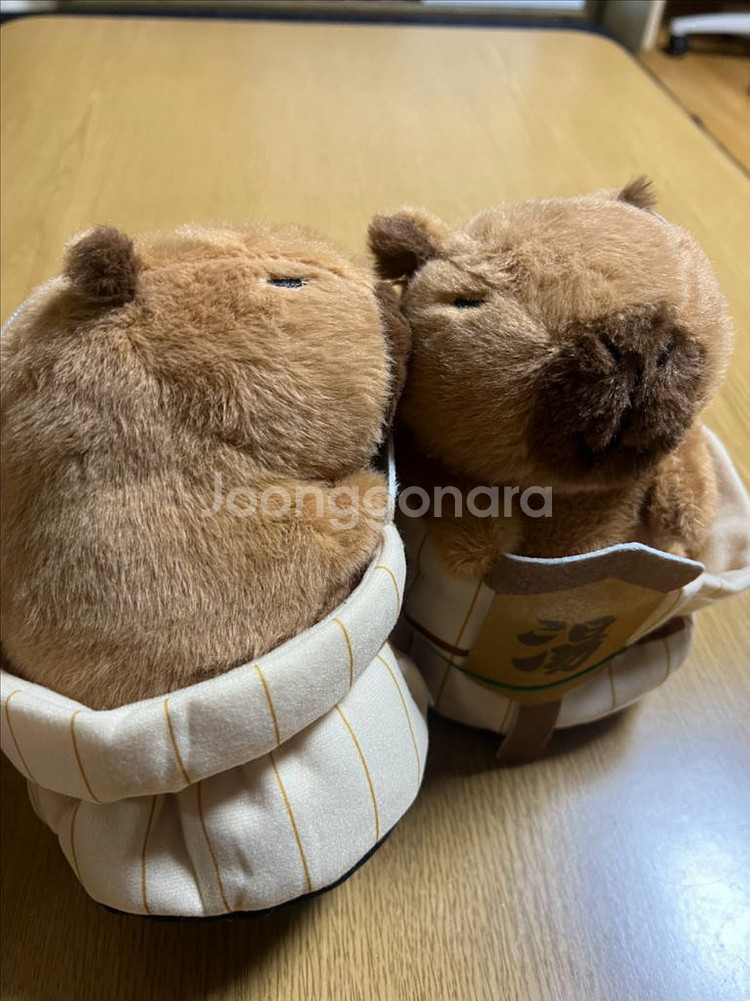 온천중인 카피바라--1