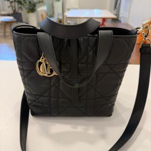 디올 뚜주흐 스몰 버티컬 토트백