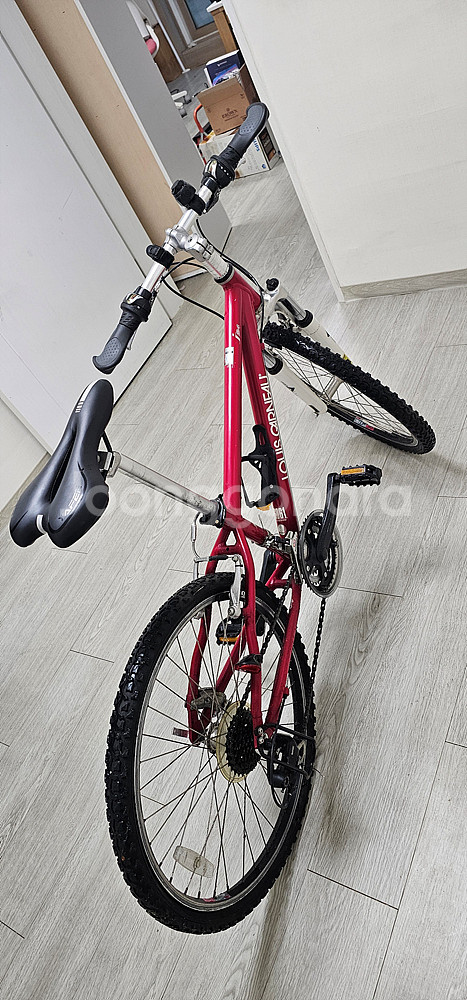 루이가르노 아동용 24인치/기21단 레드 자전거 LGS--2