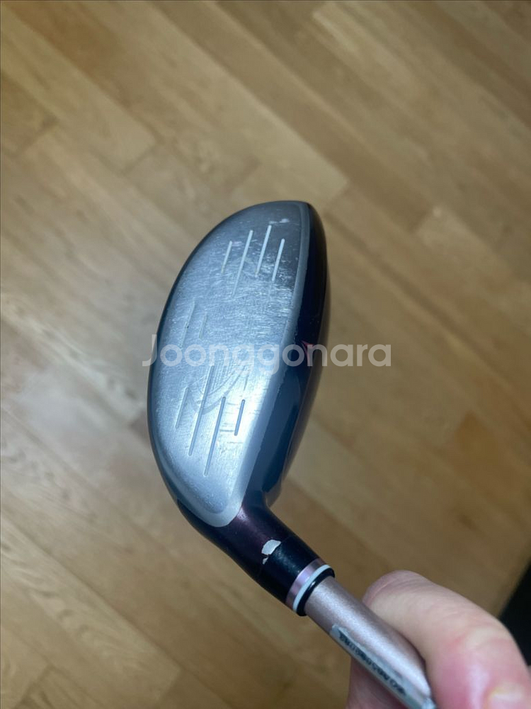 젝시오 여성 4번우드--1