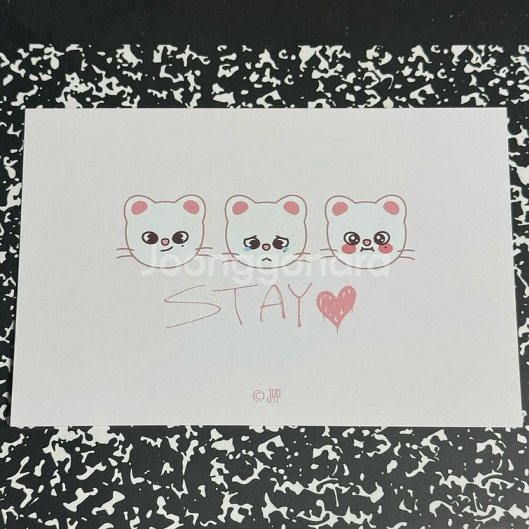 스키즈 팝업 4만원 포카 - 창빈 현진 + 지니렛 엽서--2