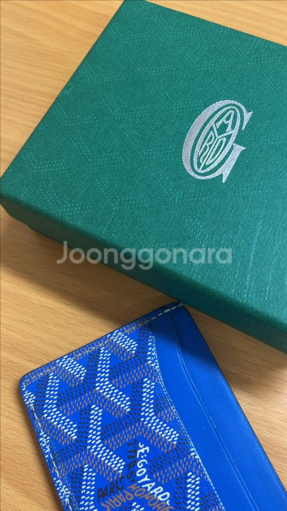 고야드 생쉴피스--1