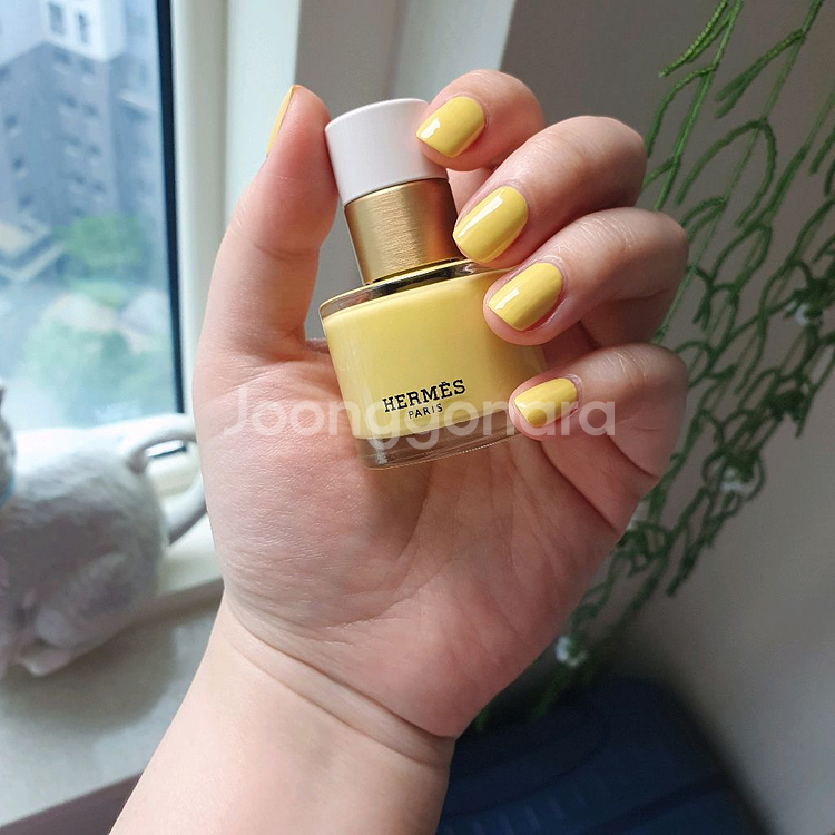 레 맹 에르메스 리미티드 네일 22 존 폴른--1