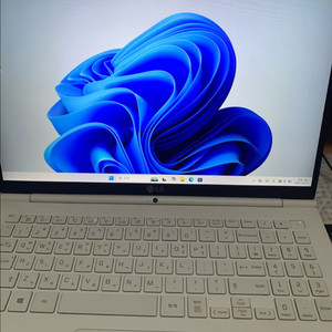 LG그램 15Z970-GR30K 판매