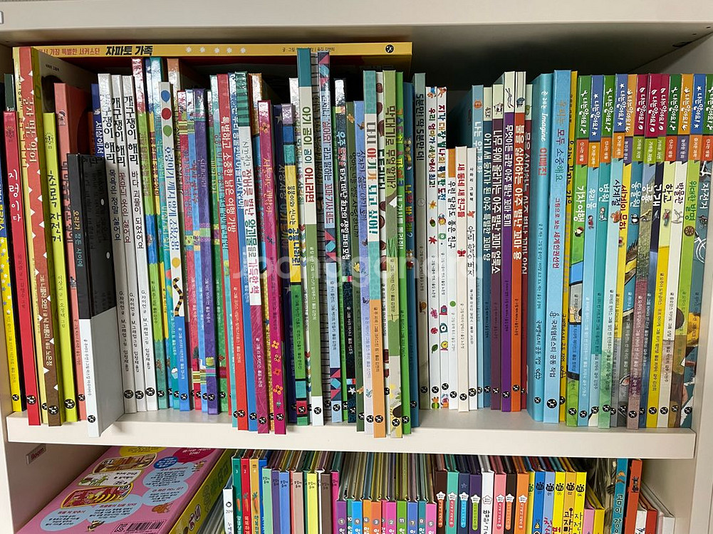 사파리 월드픽처북 90권--0