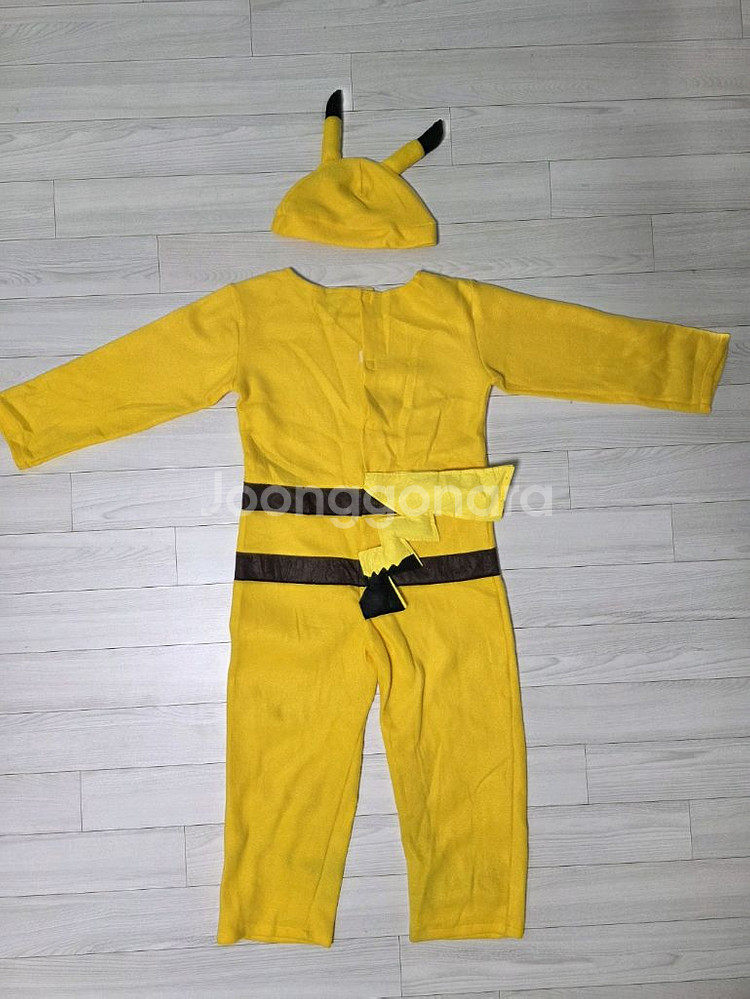 할로윈의상 코스튬 피카츄, 리자몽--2