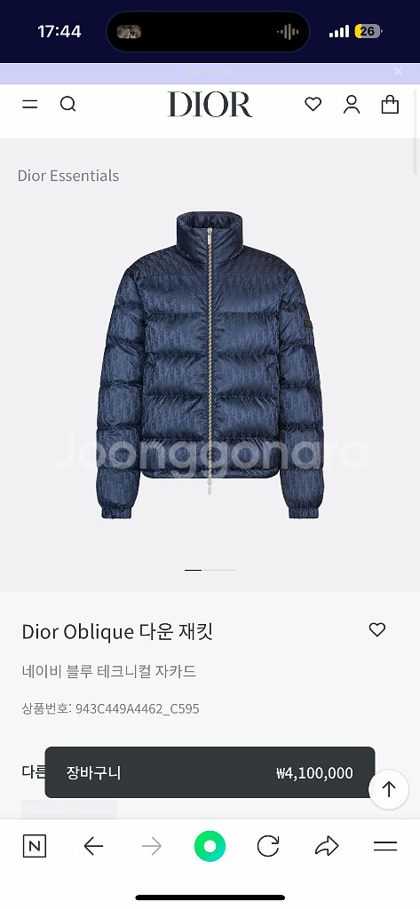 디올 오블리크 패딩--0