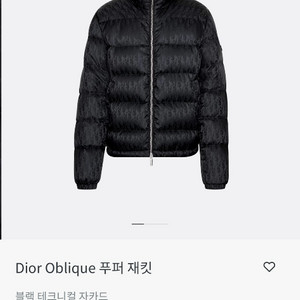 디올 오블리크 패딩