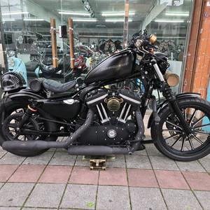 아이언883.바버 10년