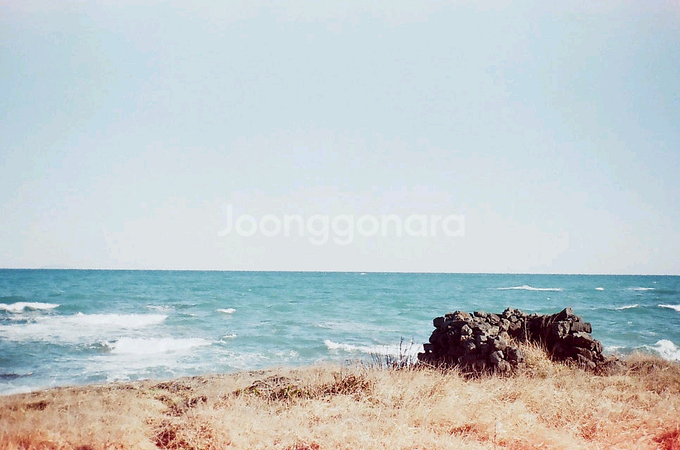 contax t2 필름카메라--6