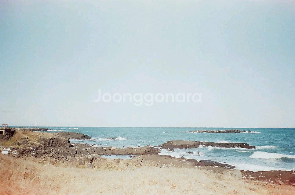 contax t2 필름카메라--5