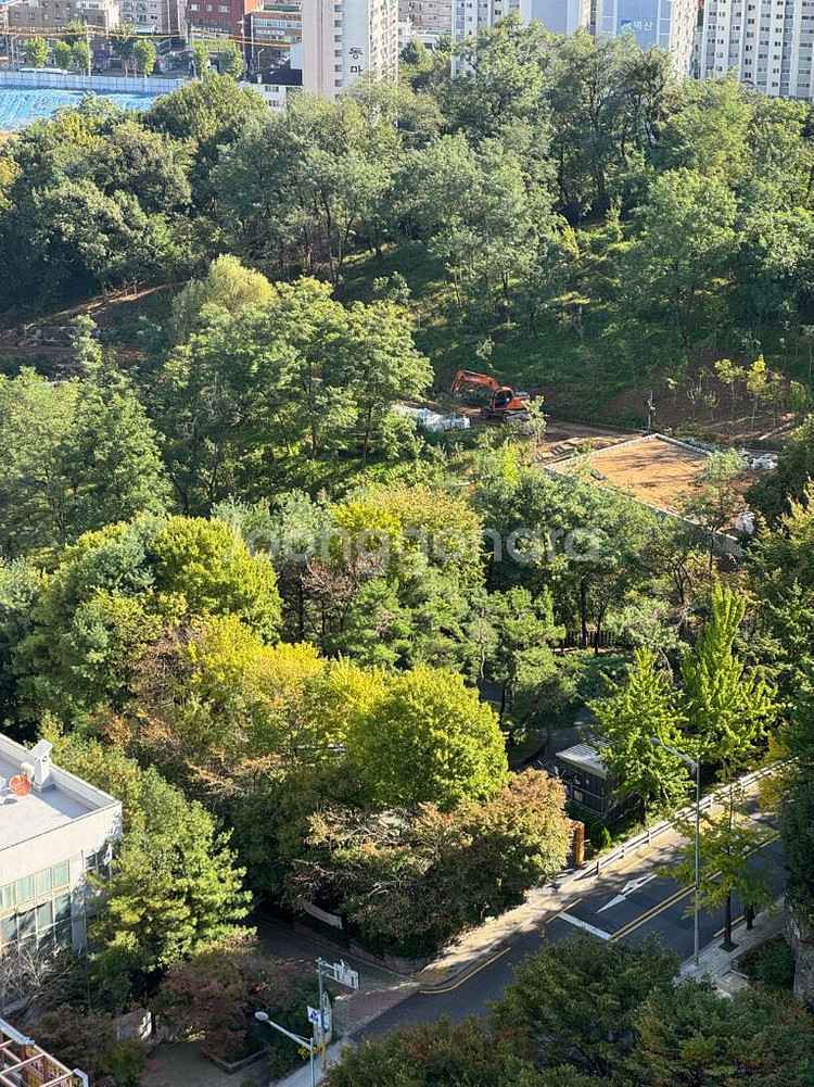 아이폰 15프로 256 미국 직구 카메라 무음 판매--9