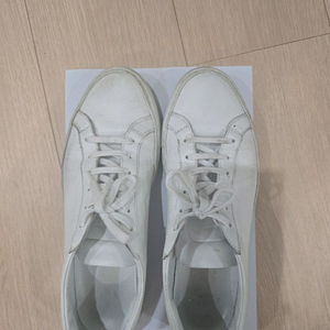 커먼프로젝트 아킬레스 로우 40 사이즈