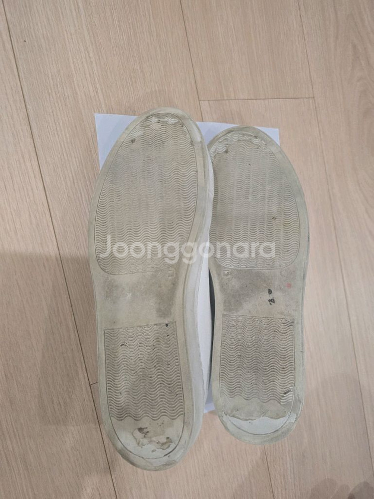 커먼프로젝트 아킬레스 로우 40 사이즈--3