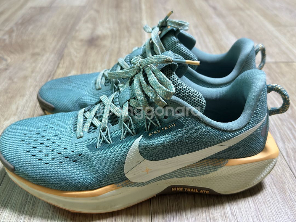 Nike Trail 5 (245)--1