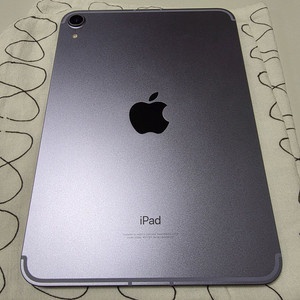 아이패드 미니 6세대 스페이스그레이 셀룰러 64gb 판