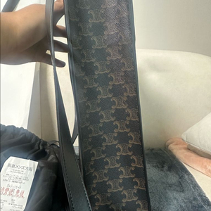 셀린느 24FW 트라이엄프 카바스토트백 이미지