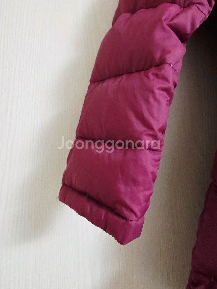 블루독 키즈 경량패딩&패딩 120 일괄--2