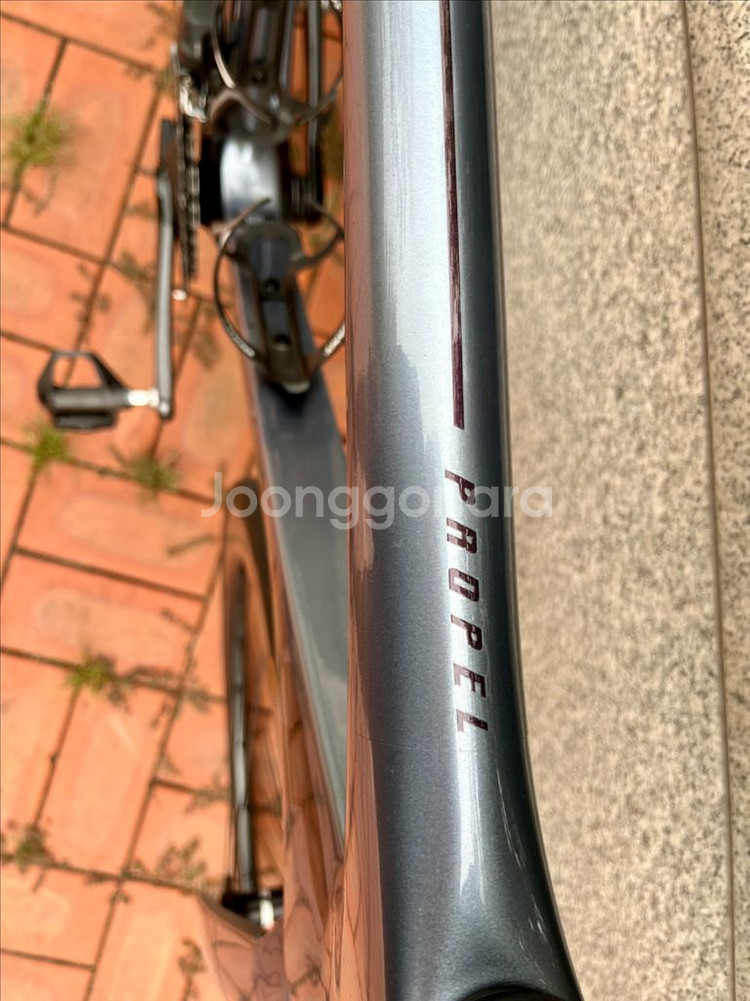 자이언트 프로펠 어드밴스 로드바이크--4