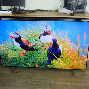 엘지 올레드 65인치 티비 OLED65B4SNA 스탠드