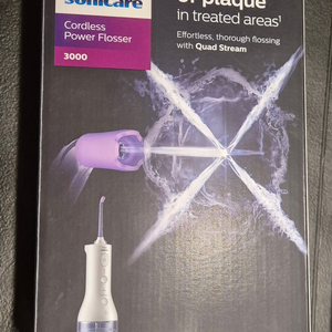 필립스 구강세정기 무선 파워플로서 3000