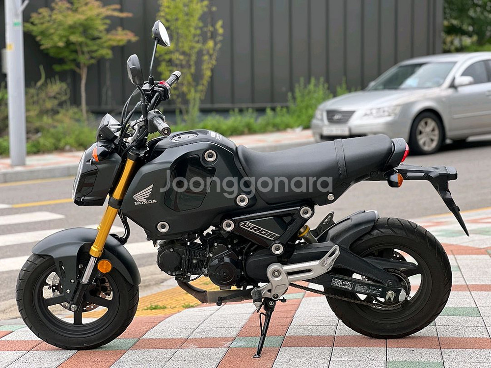 MSX125 그룸(ABS,준신차급)--1