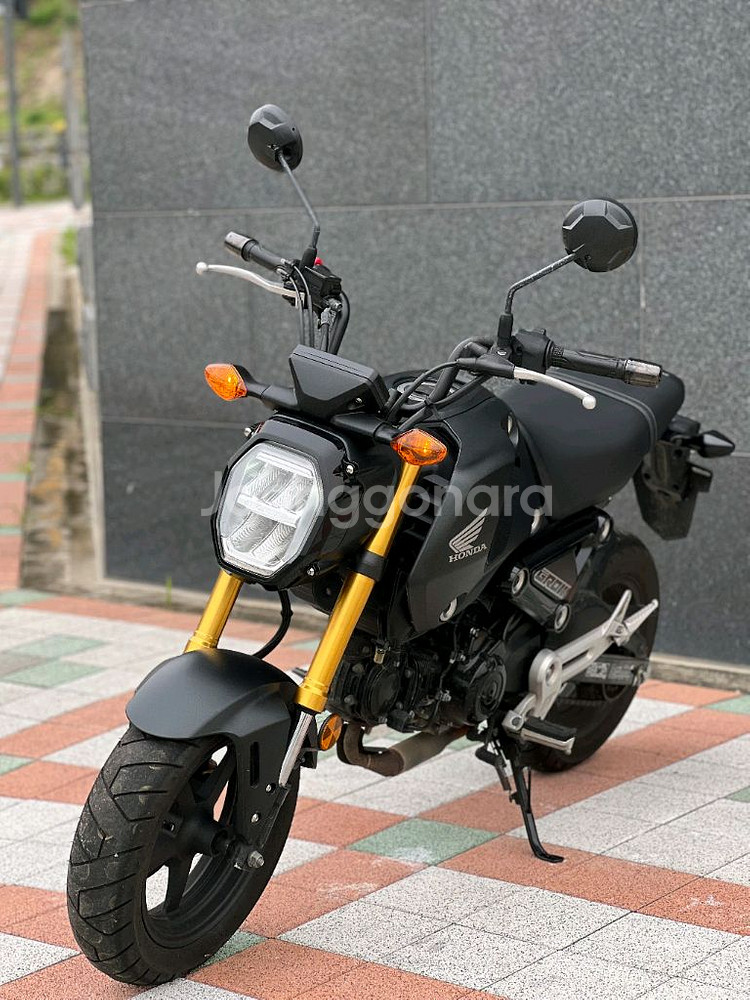 MSX125 그룸(ABS,준신차급)--0