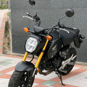 MSX125 그룸(ABS,준신차급)