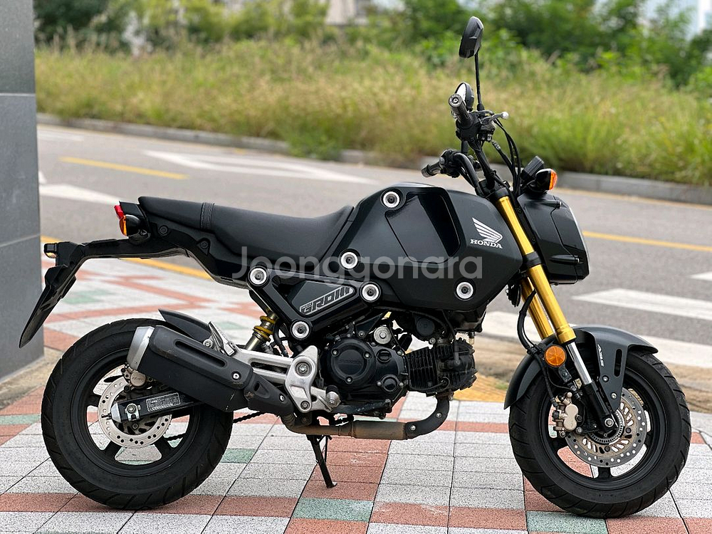 MSX125 그룸(ABS,준신차급)--5