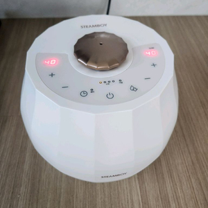 스팀보이 조절기