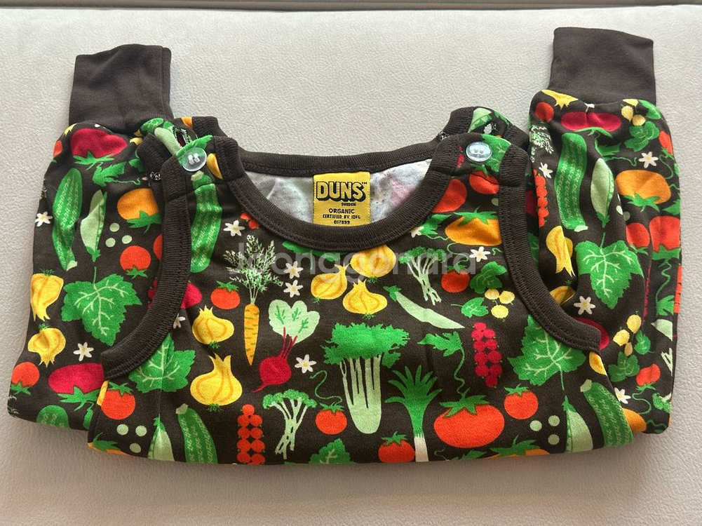 던스 초코야채 덩가리 80--0