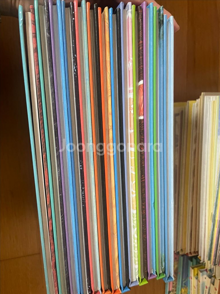 신기한스쿨버스 개정판13권--2