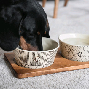 Cloud7 클라우드7 독일 세라믹 강아지식기 밥그릇