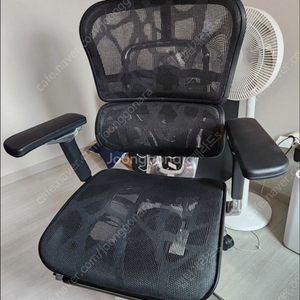 에르고 휴먼 v2 pro 팝니다