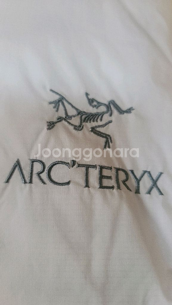 아크테릭스 아톰lt후디 xl--2