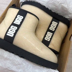 어그 클리어 미니 250사이즈