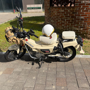 서울] 2025 토르125 베이지색. 신차급