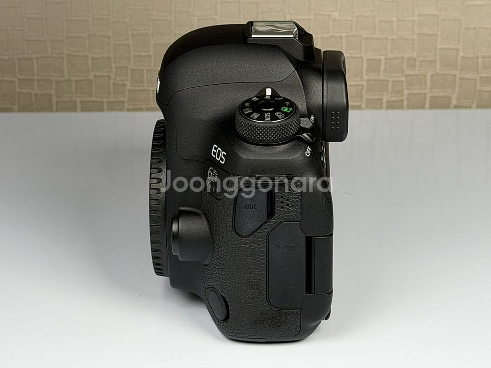 캐논 EOS 6D Mark2 DSLR, 육두막--2