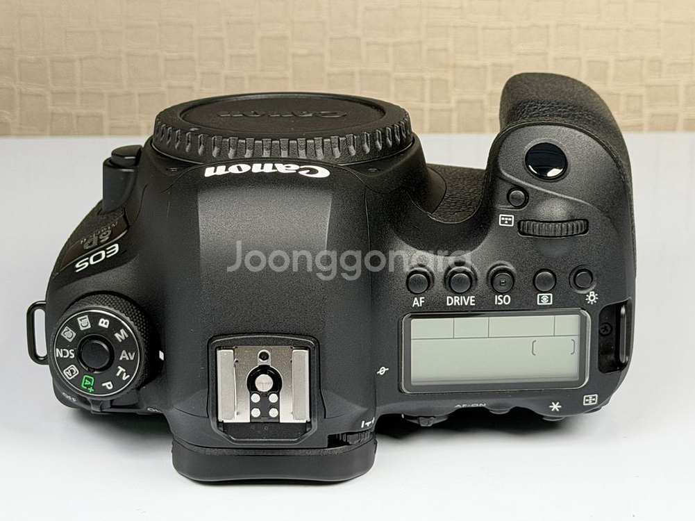 캐논 EOS 6D Mark2 DSLR, 육두막--4