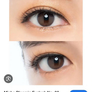 Miche blooming 미슈블루밍 아이래쉬 속눈썹