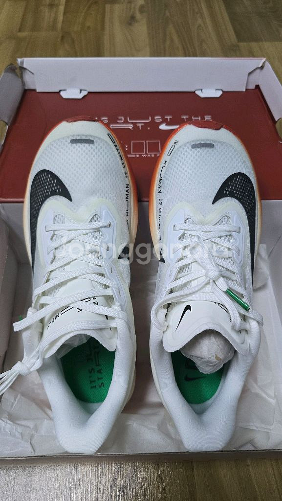 Nike 나이키 줌 플라이 6 엘리우드 킵초게 W260--0
