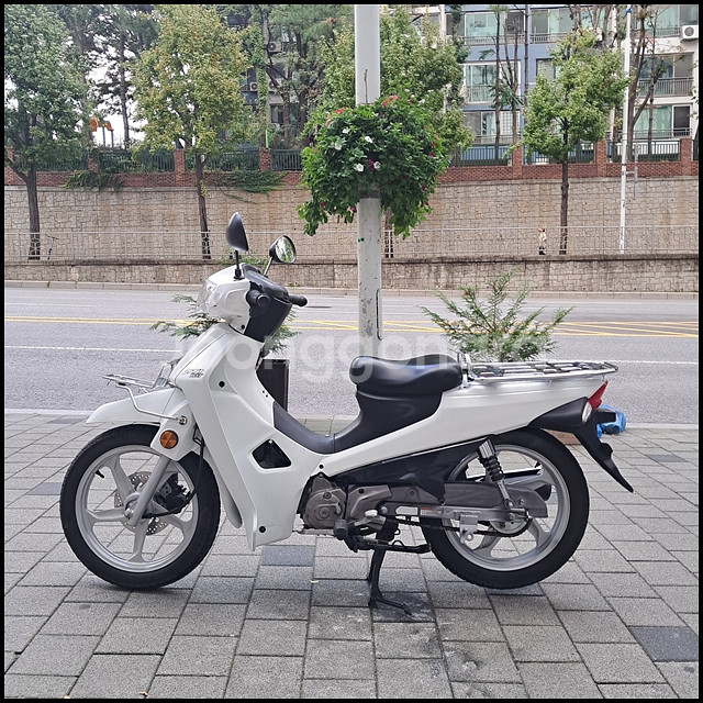 시티베스트 CB115 19년식 화이트 배달용 오토바이--1