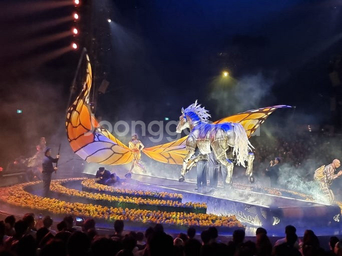 태양의서커스쿠자R연석(내일잠실)--1