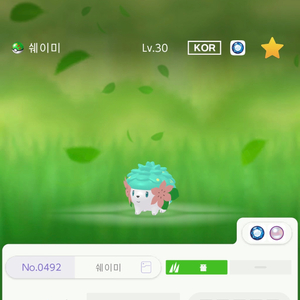 (구매) 포켓몬 이로치 쉐이미 구매 BDSP 브다샤펄