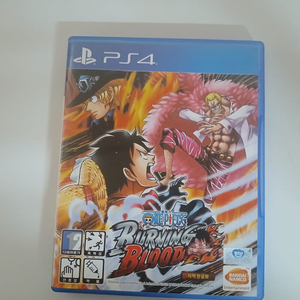 ps4 원피스 버닝블러드