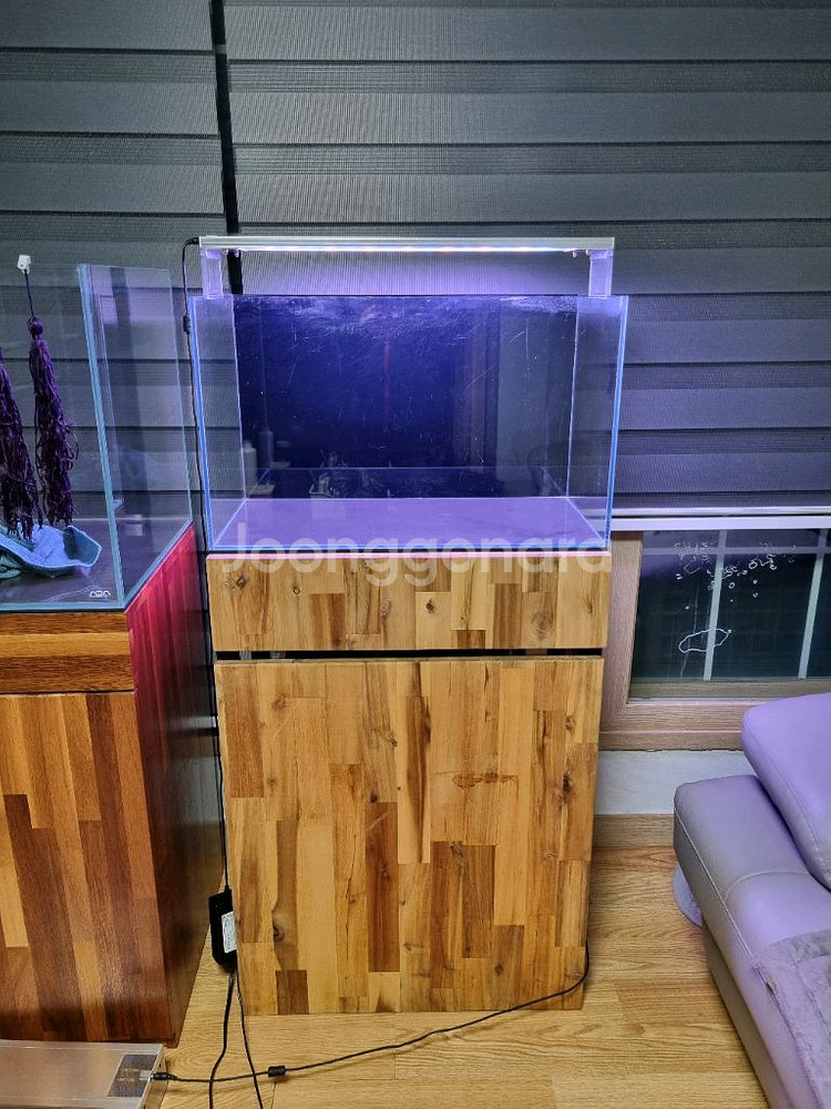 2자 슬림 올디아망 수조 어항 다이 세트 팝니다--1