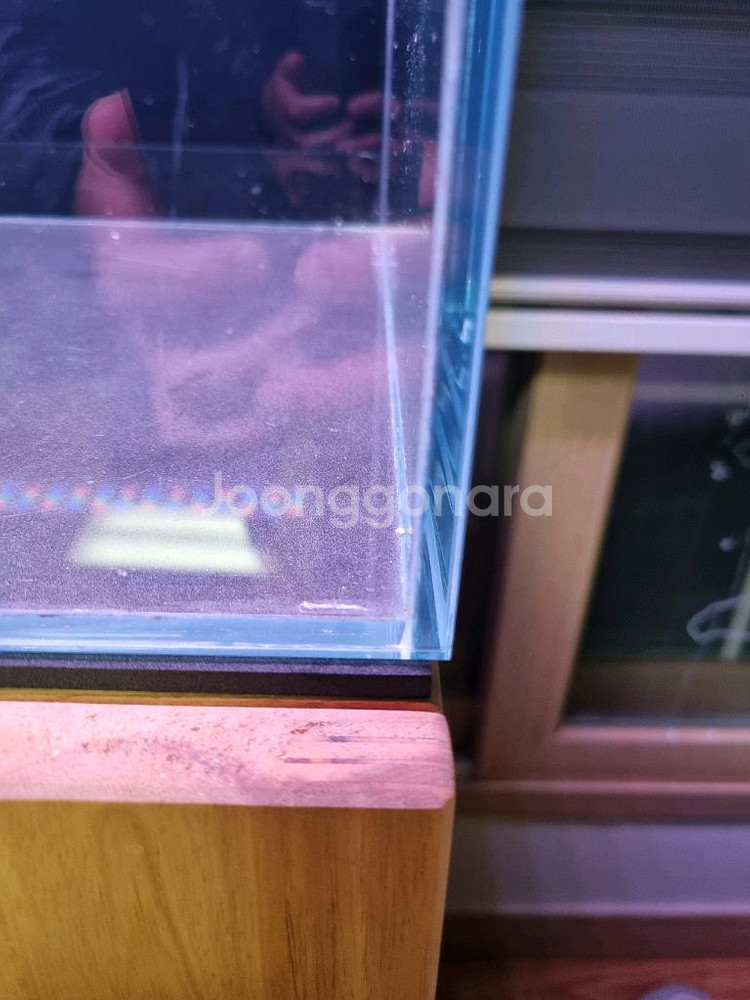 2자 슬림 올디아망 수조 어항 다이 세트 팝니다--2