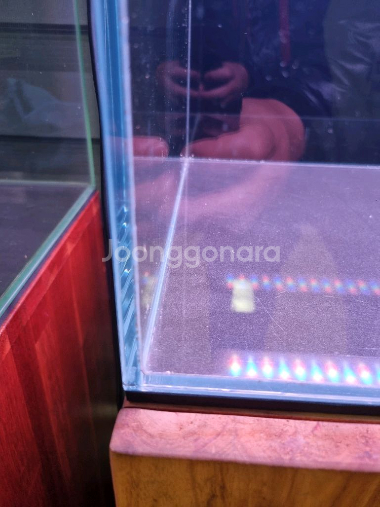 2자 슬림 올디아망 수조 어항 다이 세트 팝니다--3