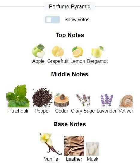 센트스토리 24 고 다크 EDT 100ml 향수--3