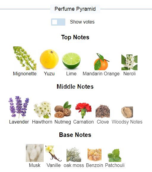 비키티엘 율리시스 EDT 100ml 향수--1